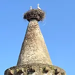 Zum Turmstorch - Frisch Saniert, Modern, Eigener Zugang Lägenhet *