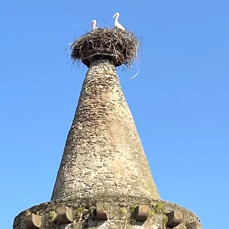 Zum Turmstorch - Frisch Saniert, Modern, Eigener Zugang アパート *