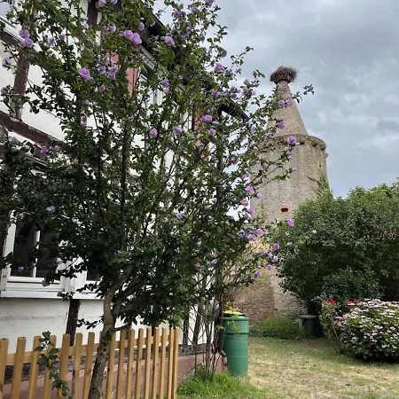 Zum Turmstorch - Frisch Saniert, Modern, Eigener Zugang * Erlensee