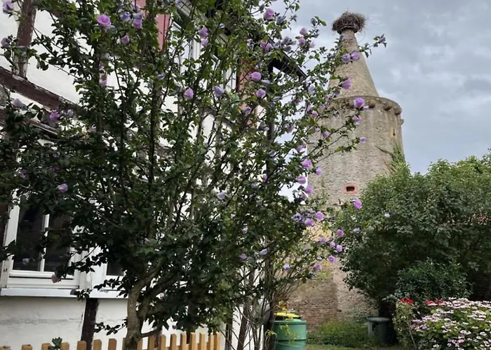 Zum Turmstorch - Frisch Saniert, Modern, Eigener Zugang * Erlensee