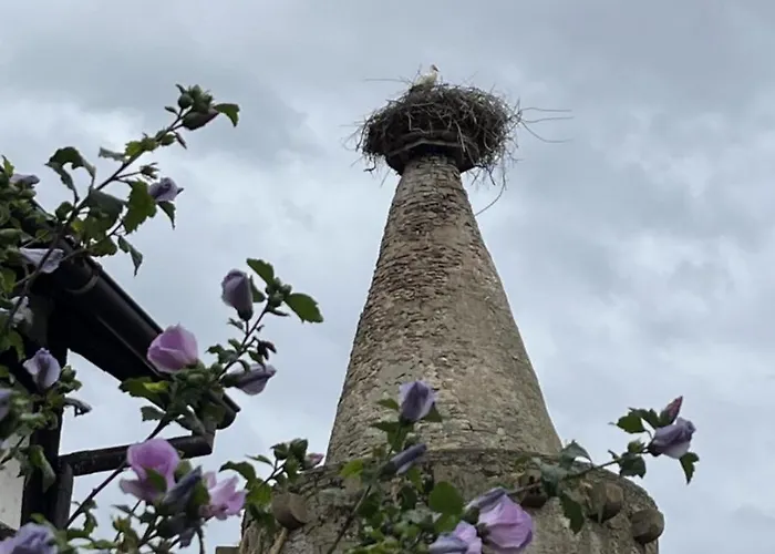 Zum Turmstorch - Frisch Saniert, Modern, Eigener Zugang Apartament *